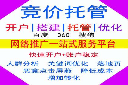 解析SEM竞价代运营公司的技术实力与服务优势